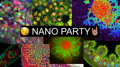 nano party